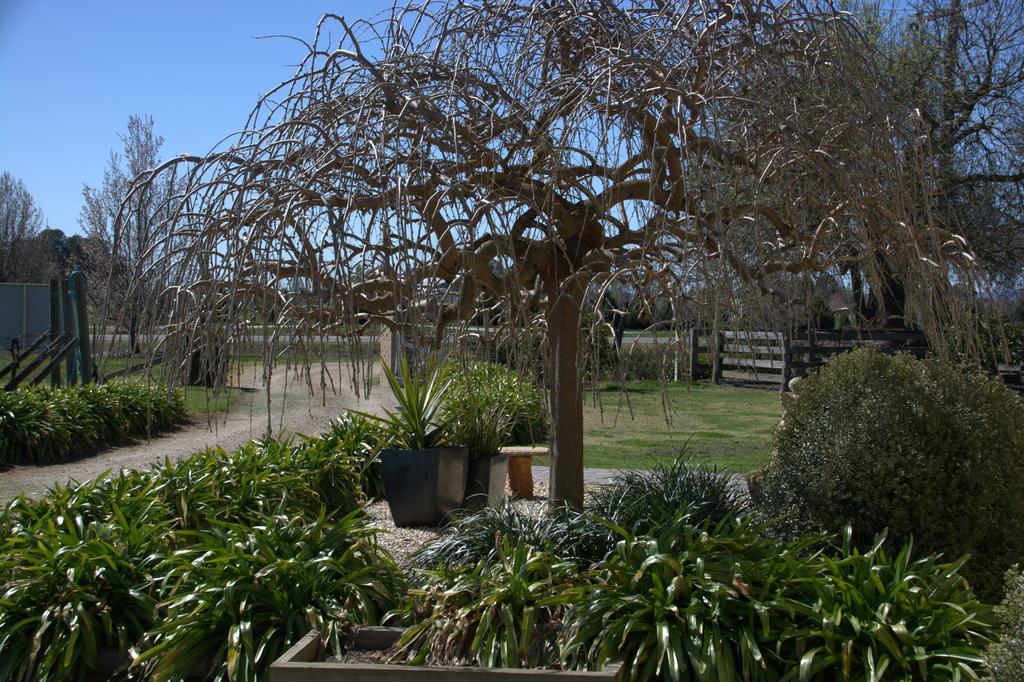 Milawa Muscat Retreat B&B Exterior photo